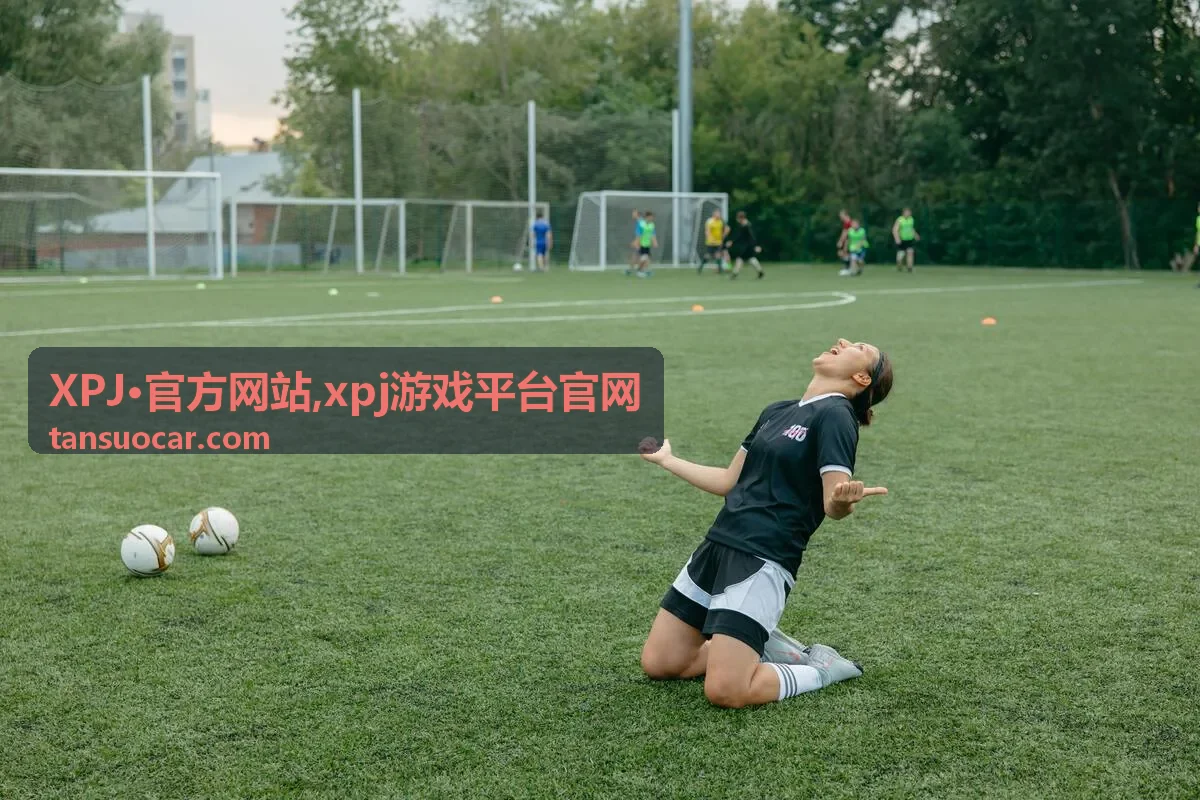XPJ·官方网站入口识别与访问说明