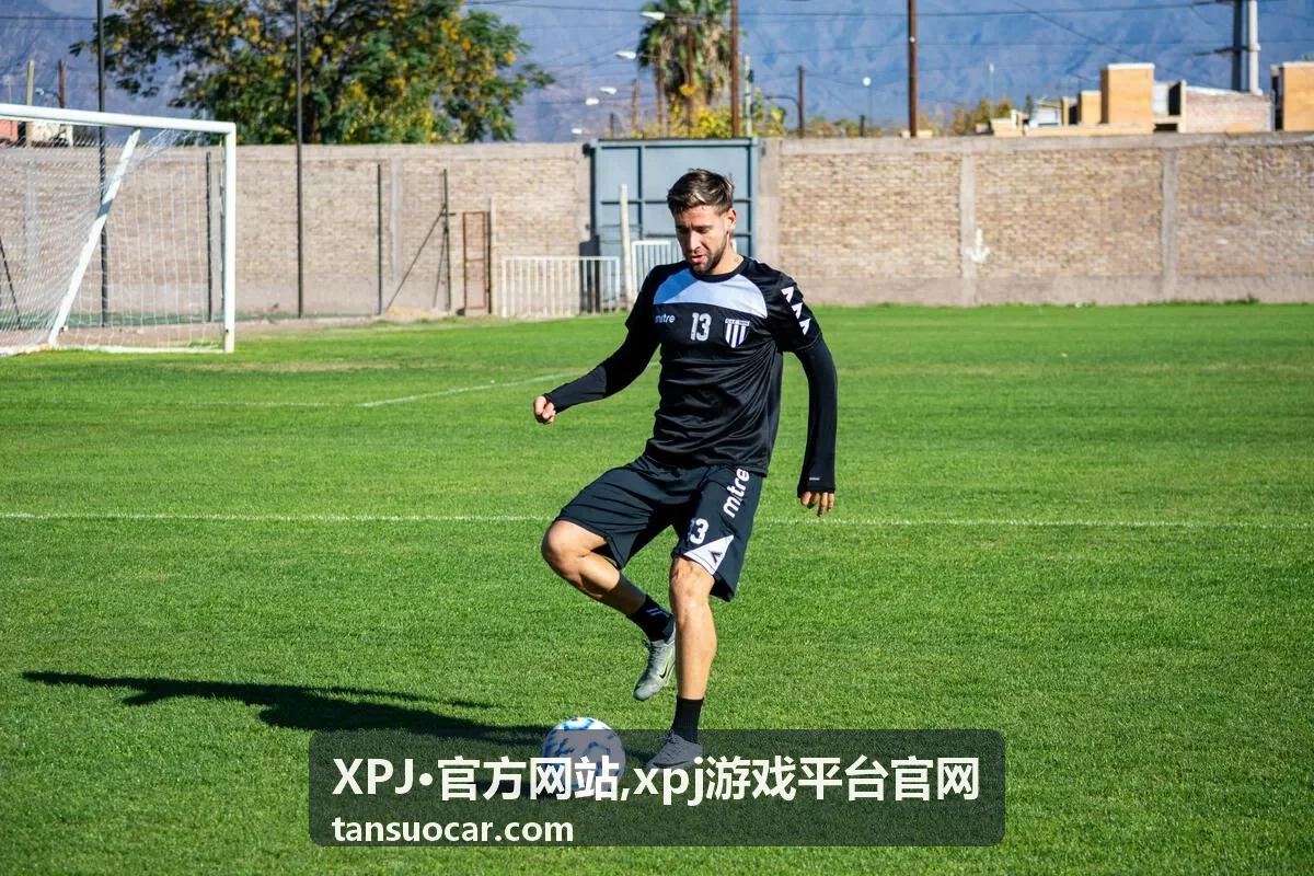 XPJ·官方网站平台说明封面图